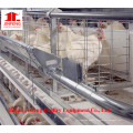 New Design /Automatic Poultry Farming Equipment for Layer Chicken Cage